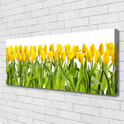 Leinwand-Bilder Tulpen Pflanzen