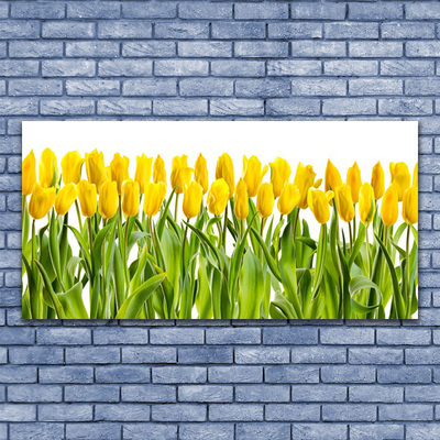 Leinwand-Bilder Tulpen Pflanzen