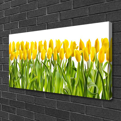 Leinwand-Bilder Tulpen Pflanzen