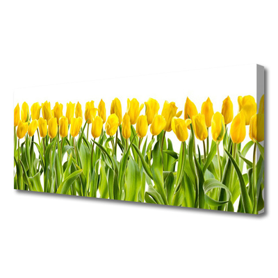 Leinwand-Bilder Tulpen Pflanzen