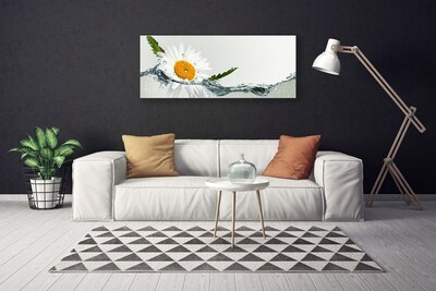 Leinwand-Bilder Gänseblümchen Wasser Kunst