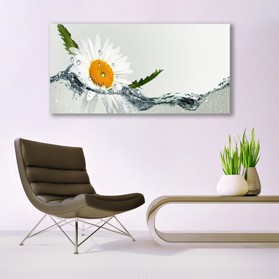 Leinwand-Bilder Gänseblümchen Wasser Kunst