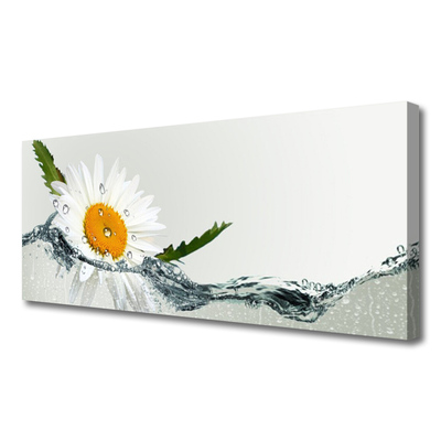 Leinwand-Bilder Gänseblümchen Wasser Kunst