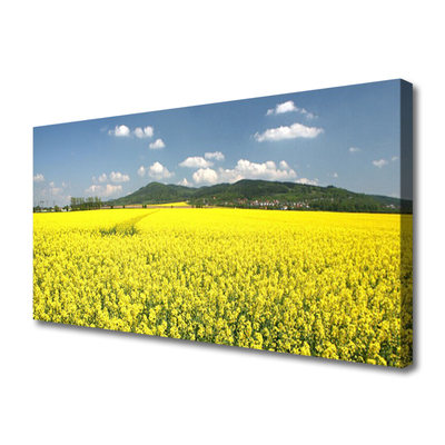 Leinwand-Bilder Wiese Natur