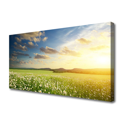 Leinwand-Bilder Wiese Blumen Landschaft