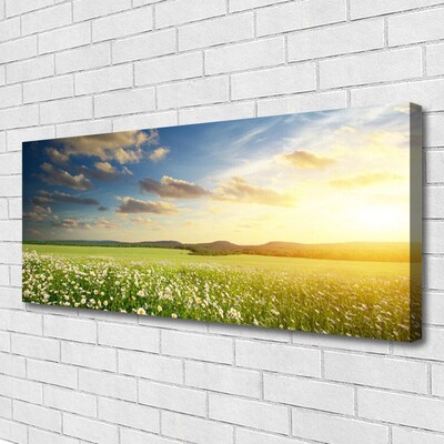 Leinwand-Bilder Wiese Blumen Landschaft