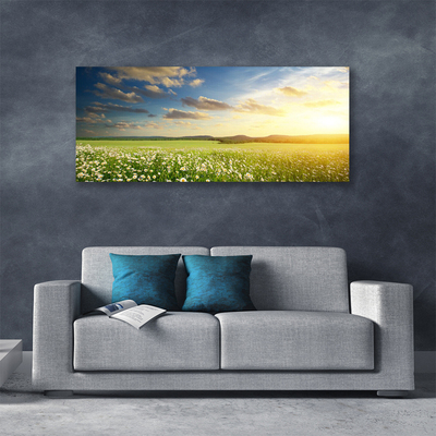 Leinwand-Bilder Wiese Blumen Landschaft