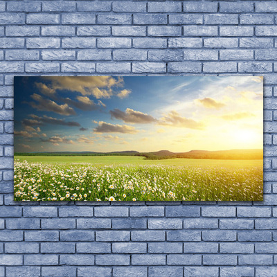 Leinwand-Bilder Wiese Blumen Landschaft