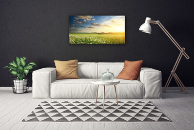 Leinwand-Bilder Wiese Blumen Landschaft