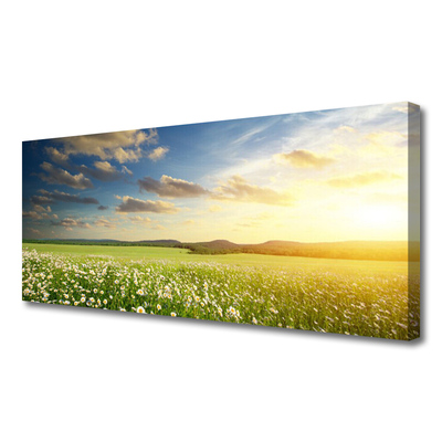 Leinwand-Bilder Wiese Blumen Landschaft