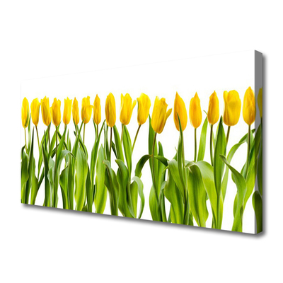 Leinwand-Bilder Tulpen Pflanzen