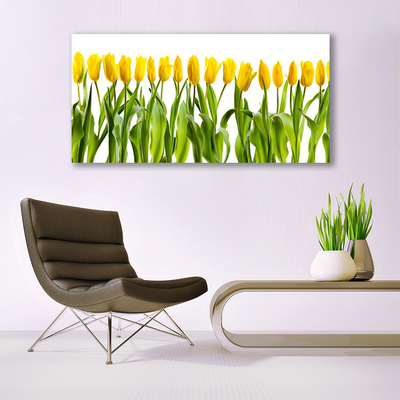 Leinwand-Bilder Tulpen Pflanzen