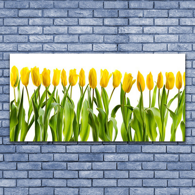 Leinwand-Bilder Tulpen Pflanzen