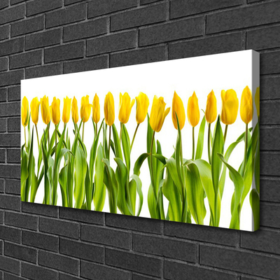 Leinwand-Bilder Tulpen Pflanzen