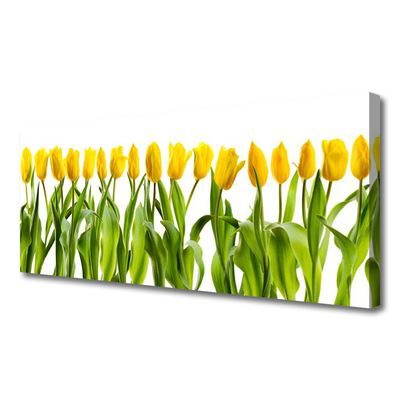 Leinwand-Bilder Tulpen Pflanzen