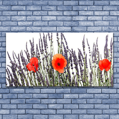 Leinwand-Bilder Blumen Pflanzen