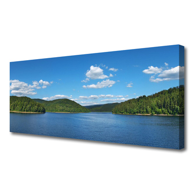 Leinwand-Bilder See Wald Landschaft