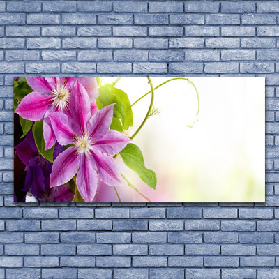 Leinwand-Bilder Blumen Pflanzen