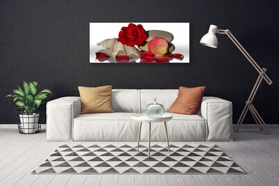 Leinwand-Bilder Rose Muschel Steine Kunst