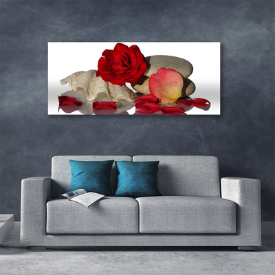 Leinwand-Bilder Rose Muschel Steine Kunst