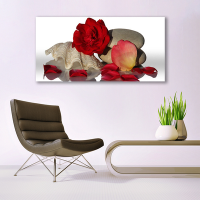 Leinwand-Bilder Rose Muschel Steine Kunst