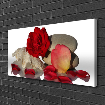 Leinwand-Bilder Rose Muschel Steine Kunst