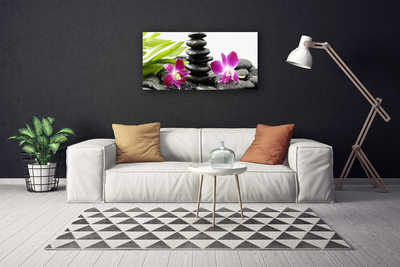 Leinwand-Bilder Blumen Steine Kunst