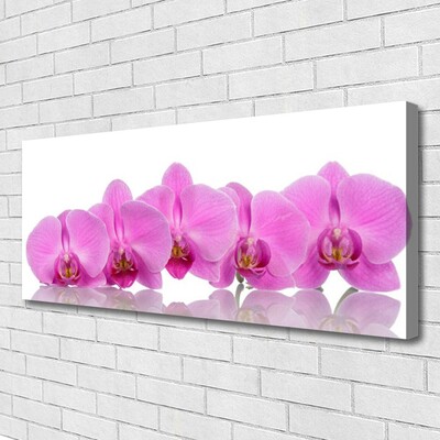 Leinwand-Bilder Blumen Pflanzen