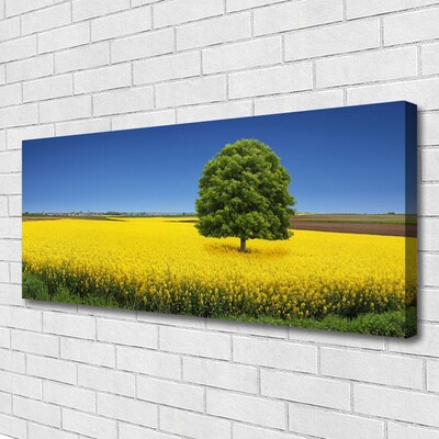 Leinwand-Bilder Wiese Baum Natur