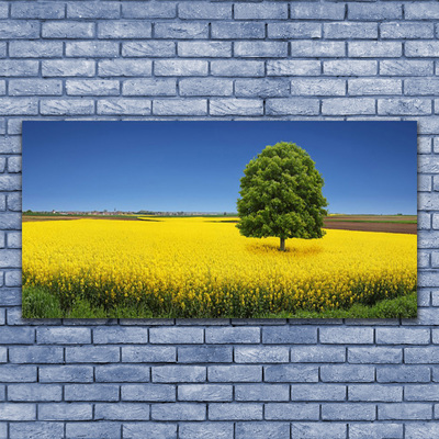 Leinwand-Bilder Wiese Baum Natur