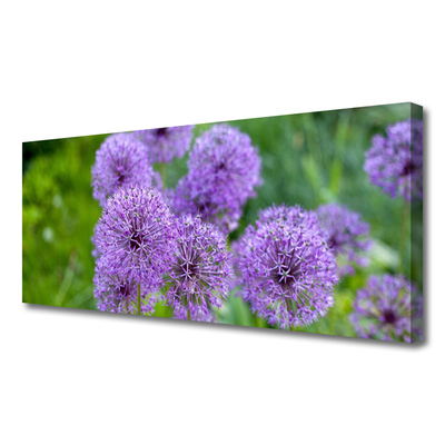 Leinwand-Bilder Blumen Pflanzen