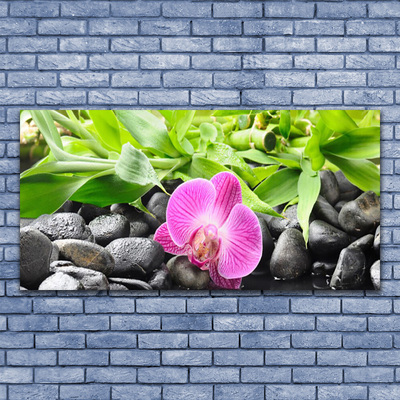 Leinwand-Bilder Blume Blätter Steine Kunst