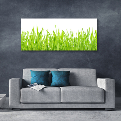 Leinwand-Bilder Gras Natur