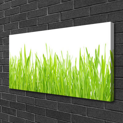 Leinwand-Bilder Gras Natur