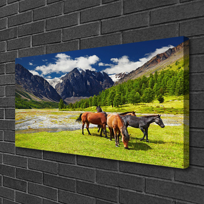 Leinwand-Bilder Gebirge Bäume Pferde Tiere