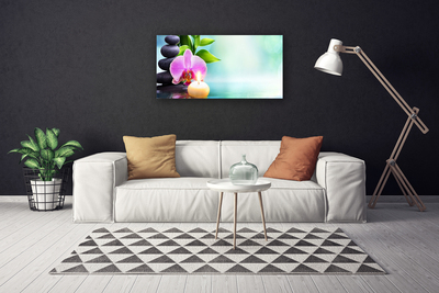 Leinwand-Bilder Bambusrohre Steine Blume Kunst