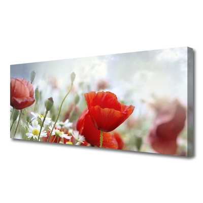 Leinwand-Bilder Blumen Pflanzen