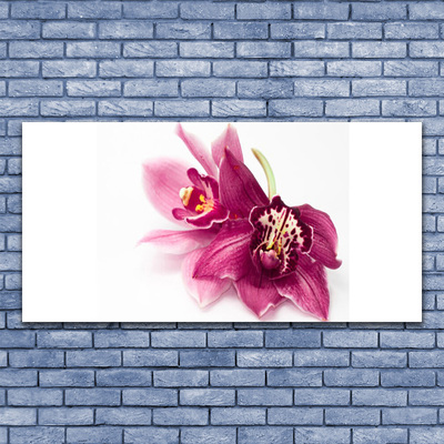 Leinwand-Bilder Blumen Pflanzen