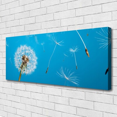 Leinwand-Bilder Pusteblume Pflanzen