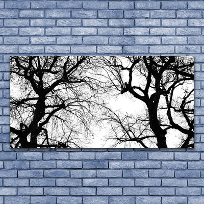 Leinwand-Bilder Bäume Natur