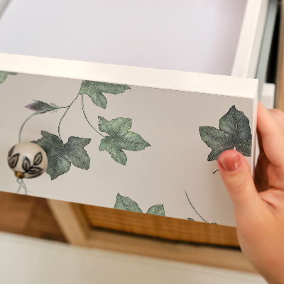 Folie für möbel Efeublätter