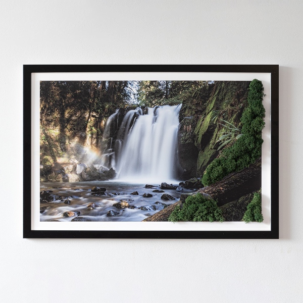 Stylegreen moosbild Wasserfall von Bäumen umgeben