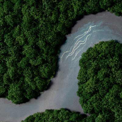 Bild moos Fluss im Wald