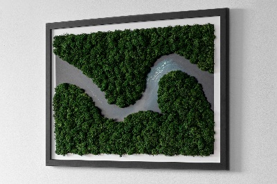 Bild moos Fluss im Wald