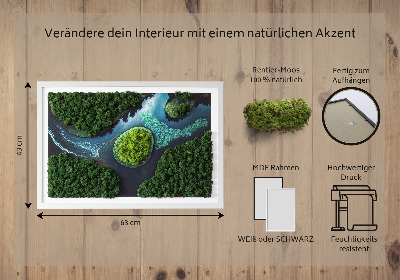 Stylegreen moosbild Insel auf den Backwaters