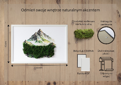 Bild moos Berggipfel über dem Wald