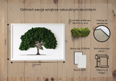 Mooswand bild Baum auf weißem Hintergrund