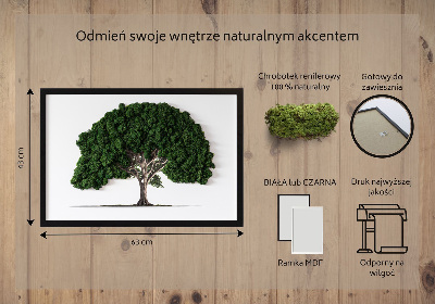 Mooswand bild Baum auf weißem Hintergrund