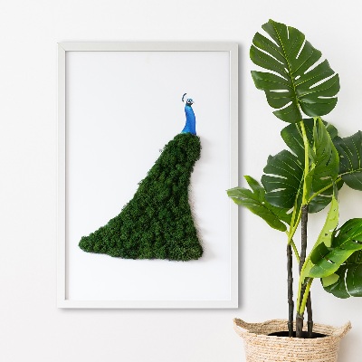 Stylegreen moosbild Pfau