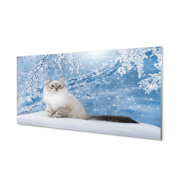 Glasbilder Katze winter